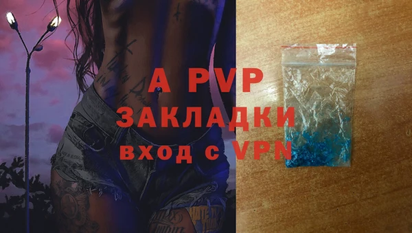 бошки Ладушкин