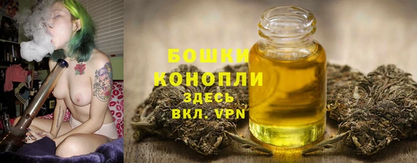 бошки Ладушкин