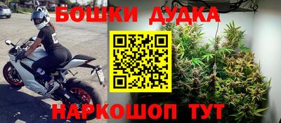 эйфоретик Бийск