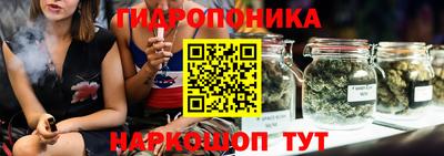 прущие крисы Кимры