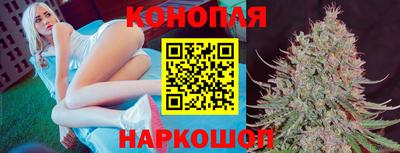 прущие крисы Кимры