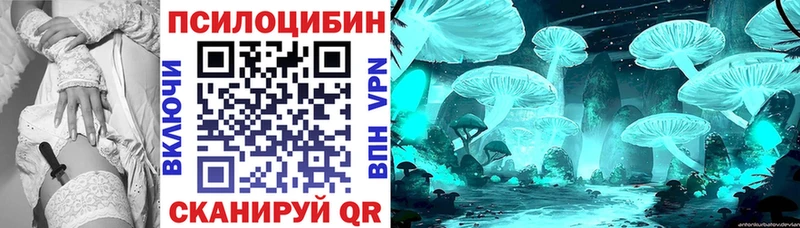 продажа наркотиков  Лыткарино  Псилоцибиновые грибы Psilocybine cubensis 