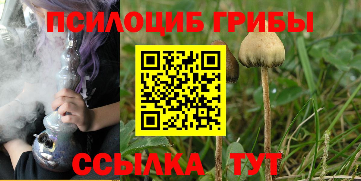 Галлюциногенные грибы MAGIC MUSHROOMS Лыткарино