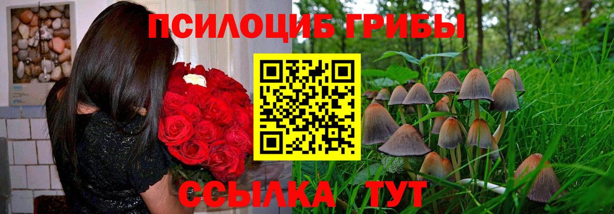 Лыткарино  Псилоцибиновые грибы ЛСД  Вход с VPN 