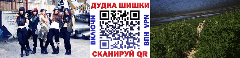где найти   Лыткарино  Конопля план 